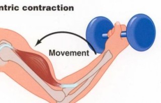 Causes of Delayed Onset Muscle Soreness